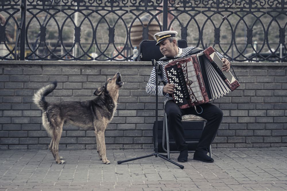 Photograph by Стариков Алексей