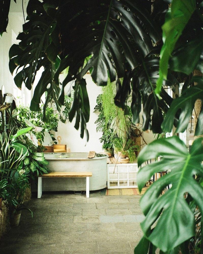 Photograph by Валерия Кутуева