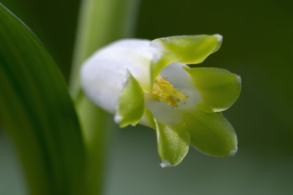 Photograph by Олег Тетерин