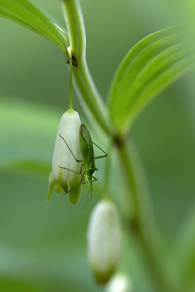 Photograph by Олег Тетерин