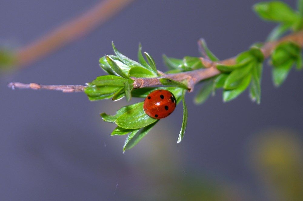 Photograph by Алексей Курносов