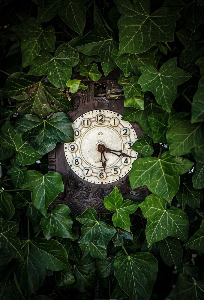 Фотография автора Ксения Шляйхер