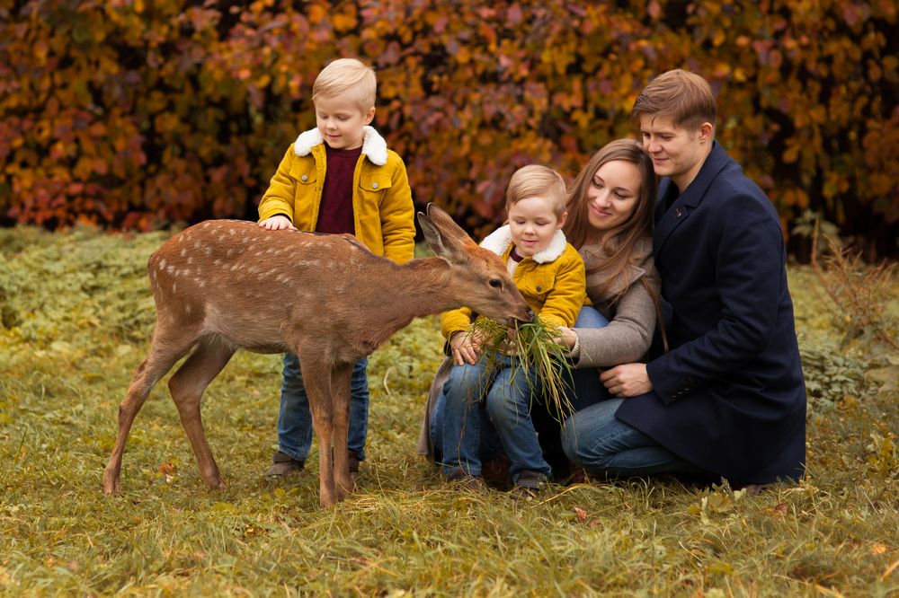 Photograph by Алена Федосова