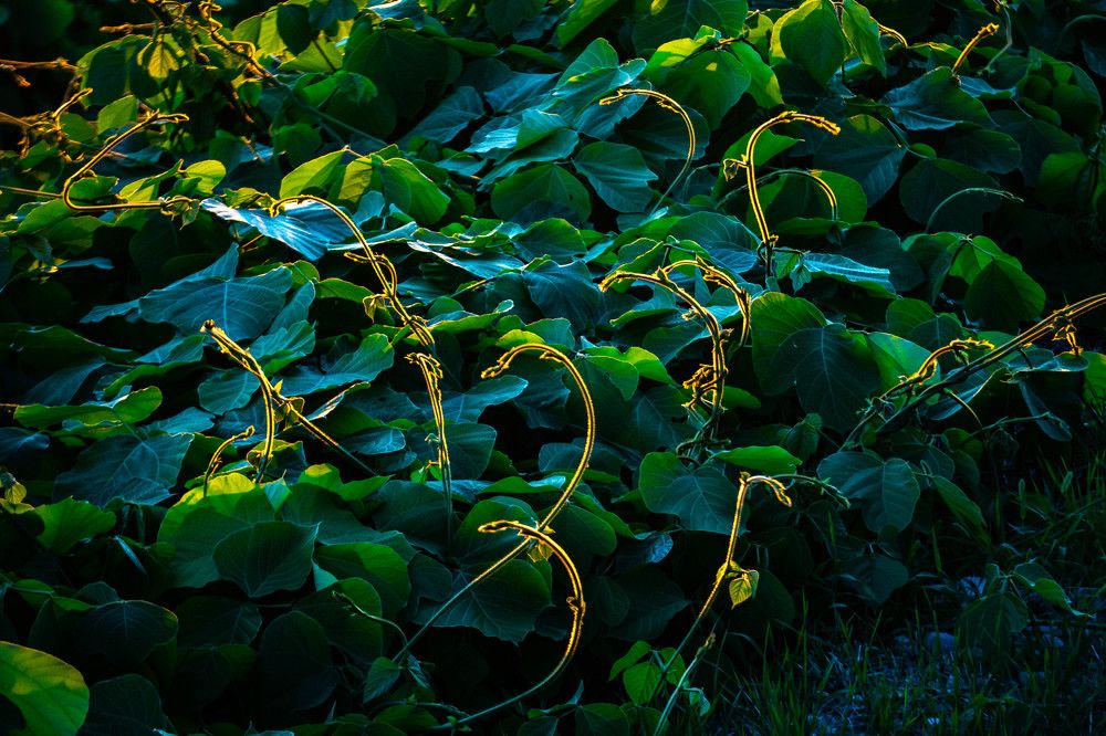 Photograph by Юрий Можейко