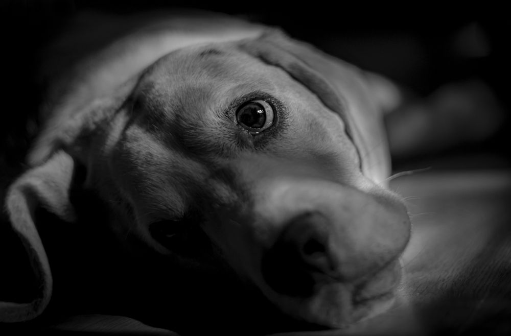 Photograph by Юлия Куликова