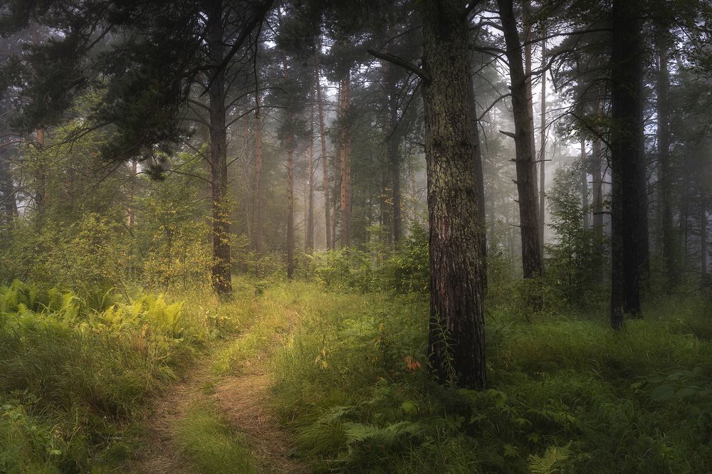 Photograph by Татьяна Бирюкова