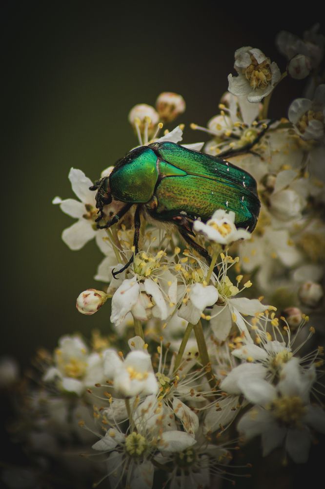 Photograph by Angelina Bukina