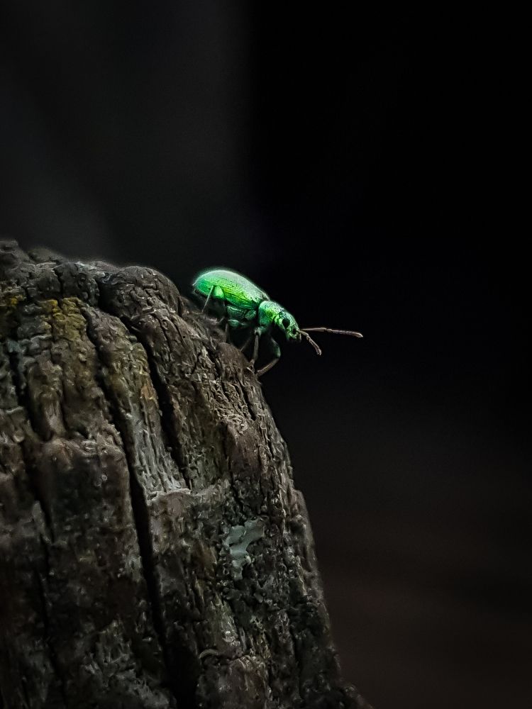 Photograph by Angelina Bukina