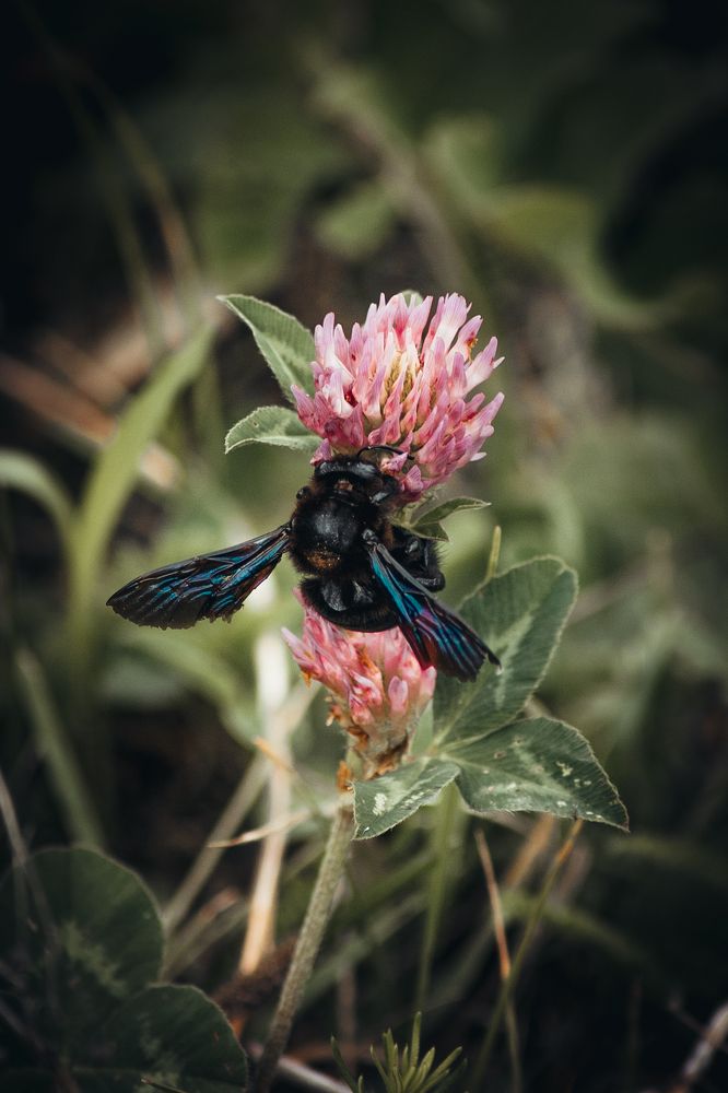 Photograph by Angelina Bukina