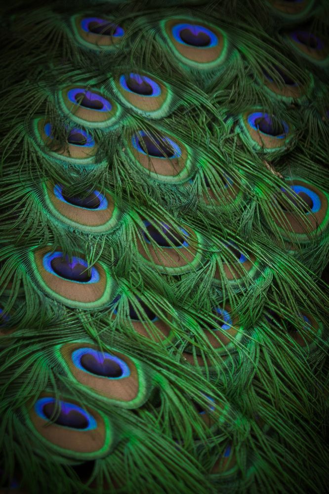 Photograph by Angelina Bukina