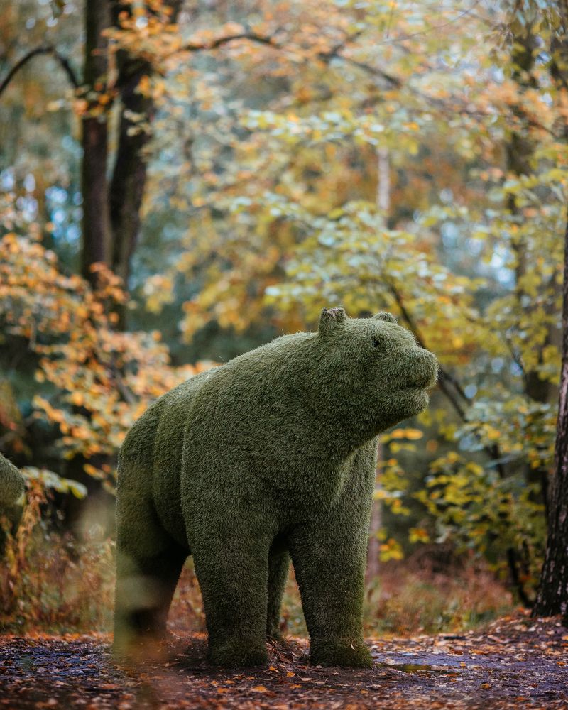 Photograph by Angelina Bukina