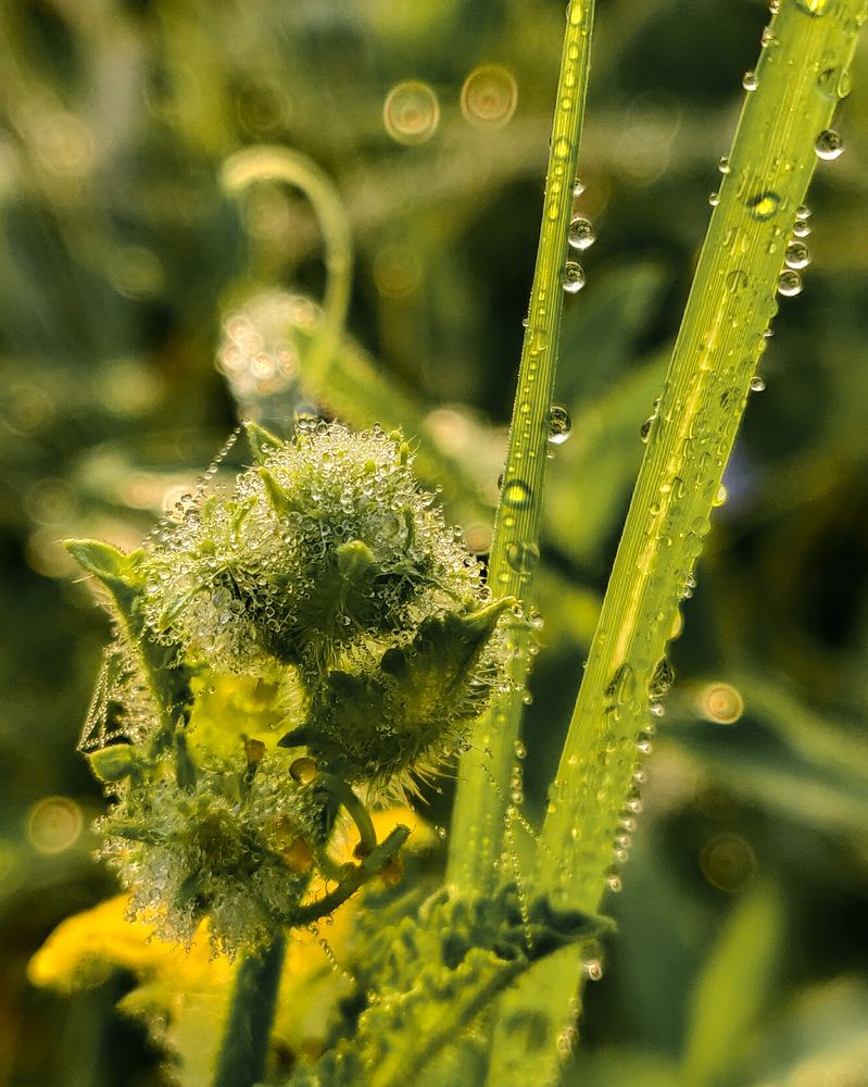 Photograph by Amit Singla