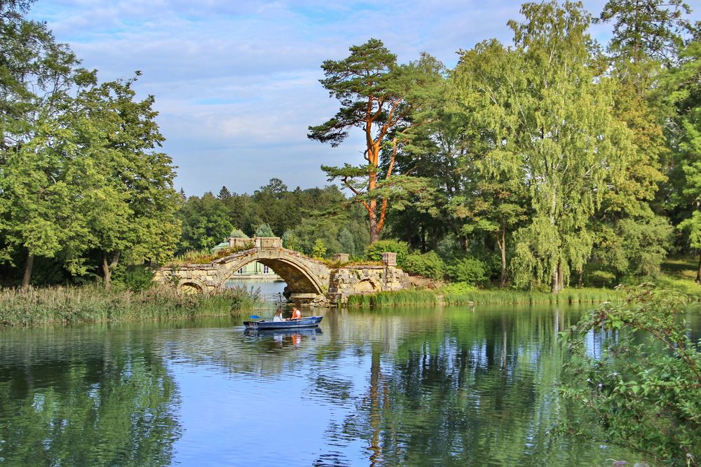 Photograph by Александр Алабушев