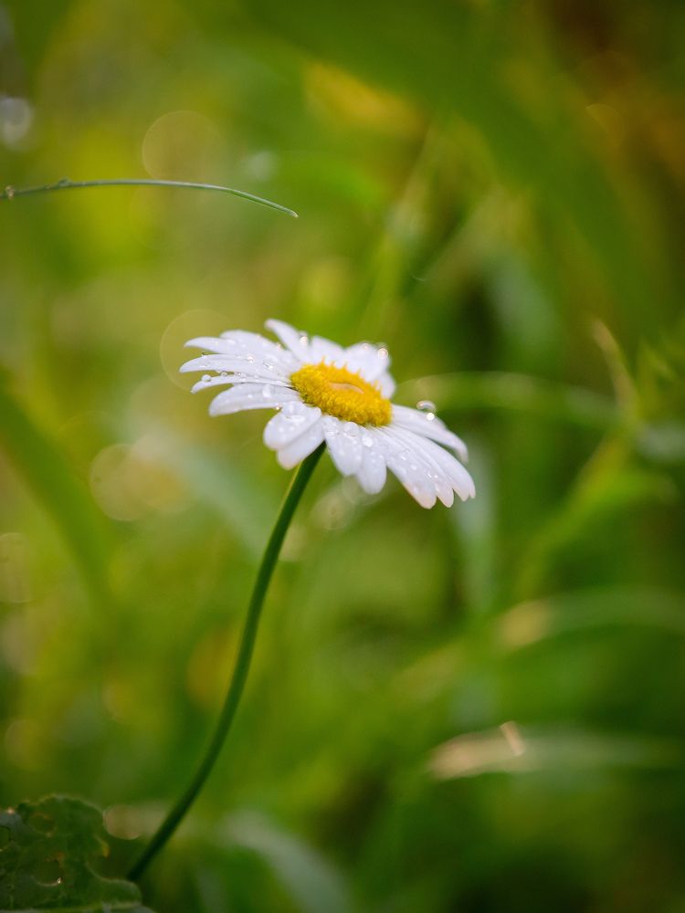 Photograph by Екатерина Слепнева
