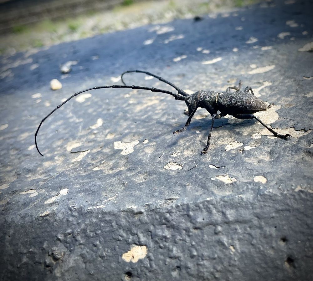 Photograph by Елена Джалалян