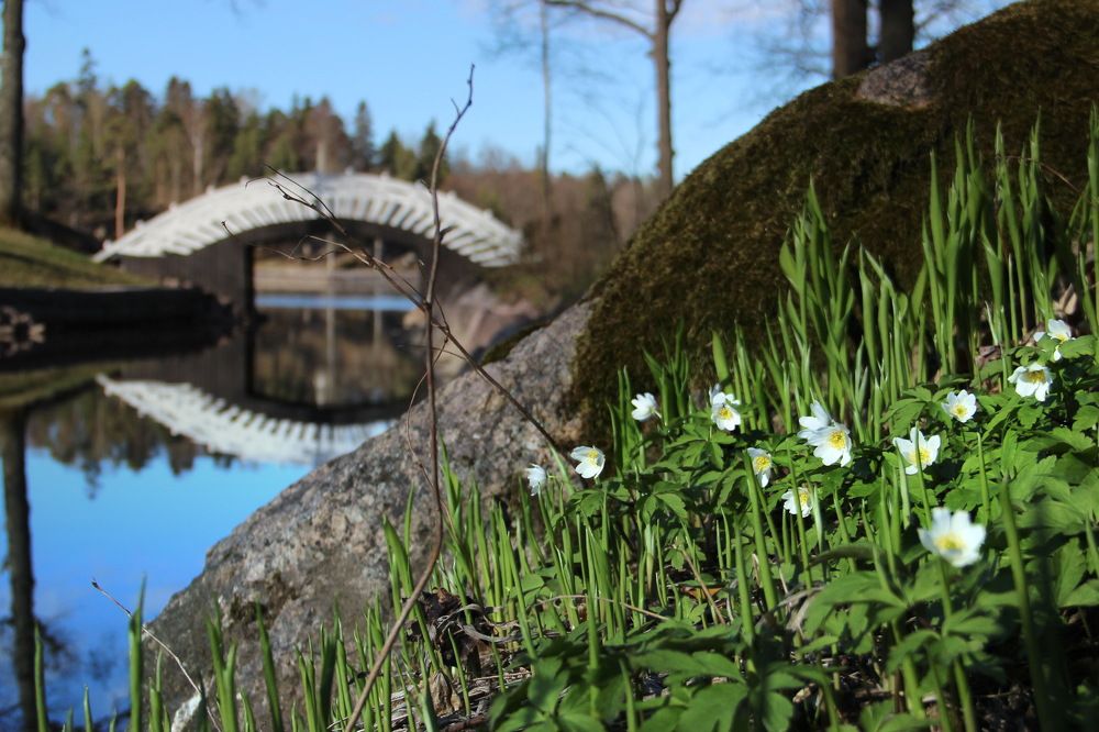 Photograph by Александр Алабушев