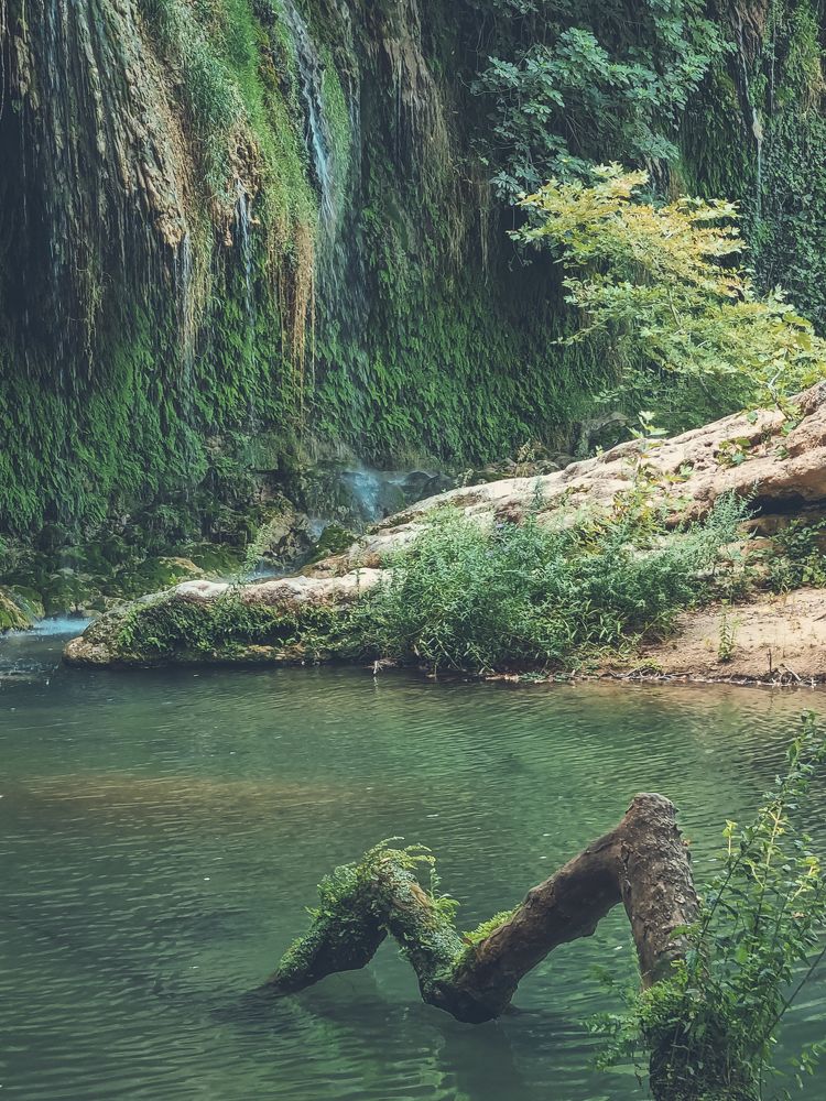 Photograph by Yelena Shander