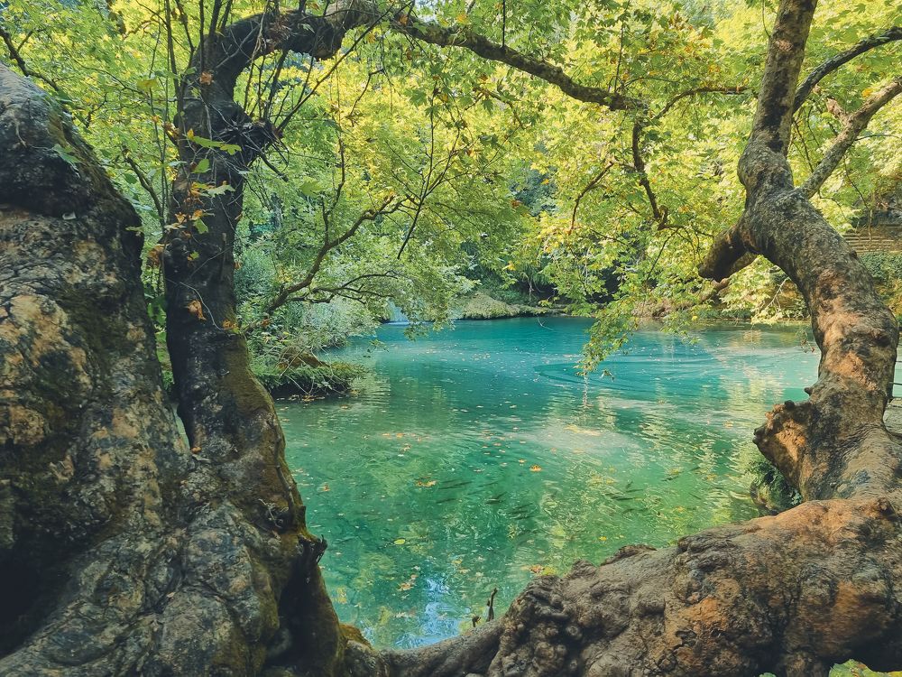 Photograph by Yelena Shander