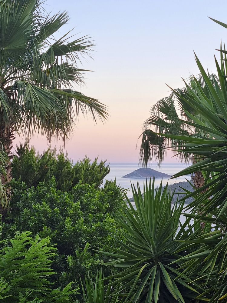 Photograph by Yelena Shander