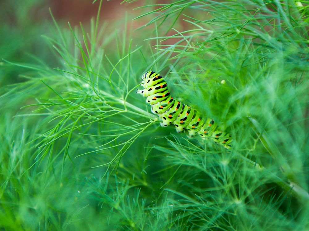 Photograph by Екатерина Слепнева