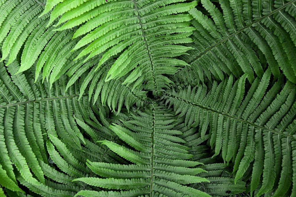 Photograph by Марина Шамич