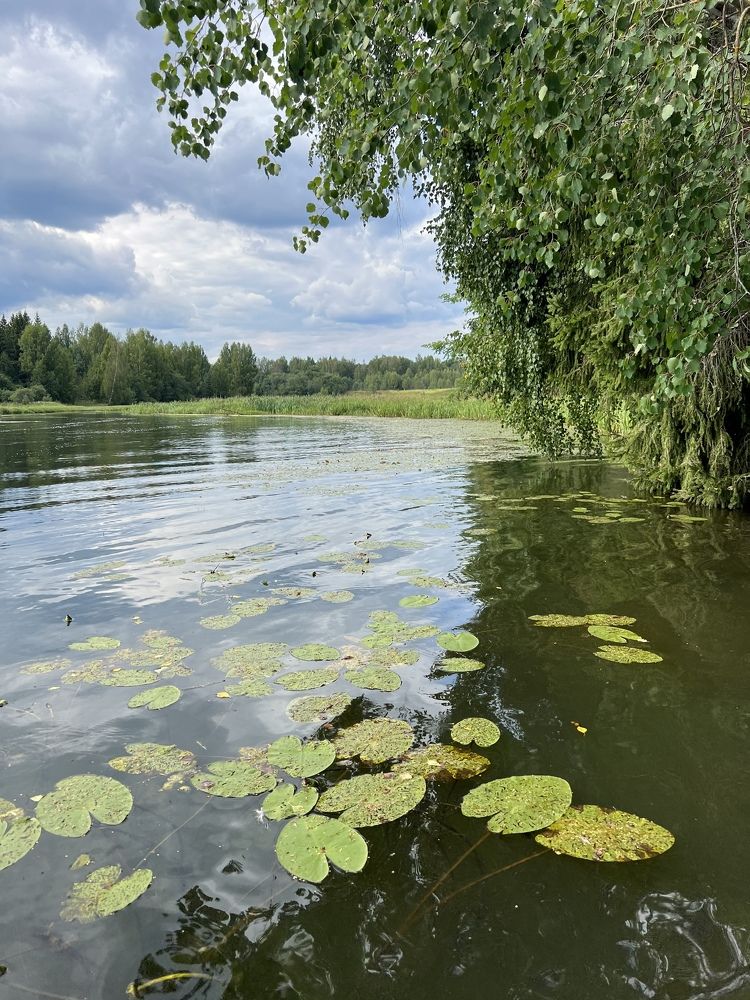 Photograph by Ирина Леванова