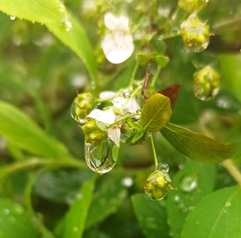 Photograph by Тихонова Ольга