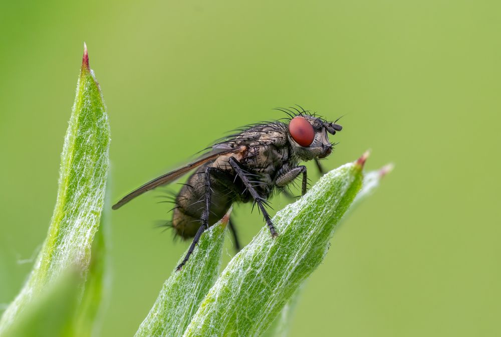 Photograph by Глеб Коровко