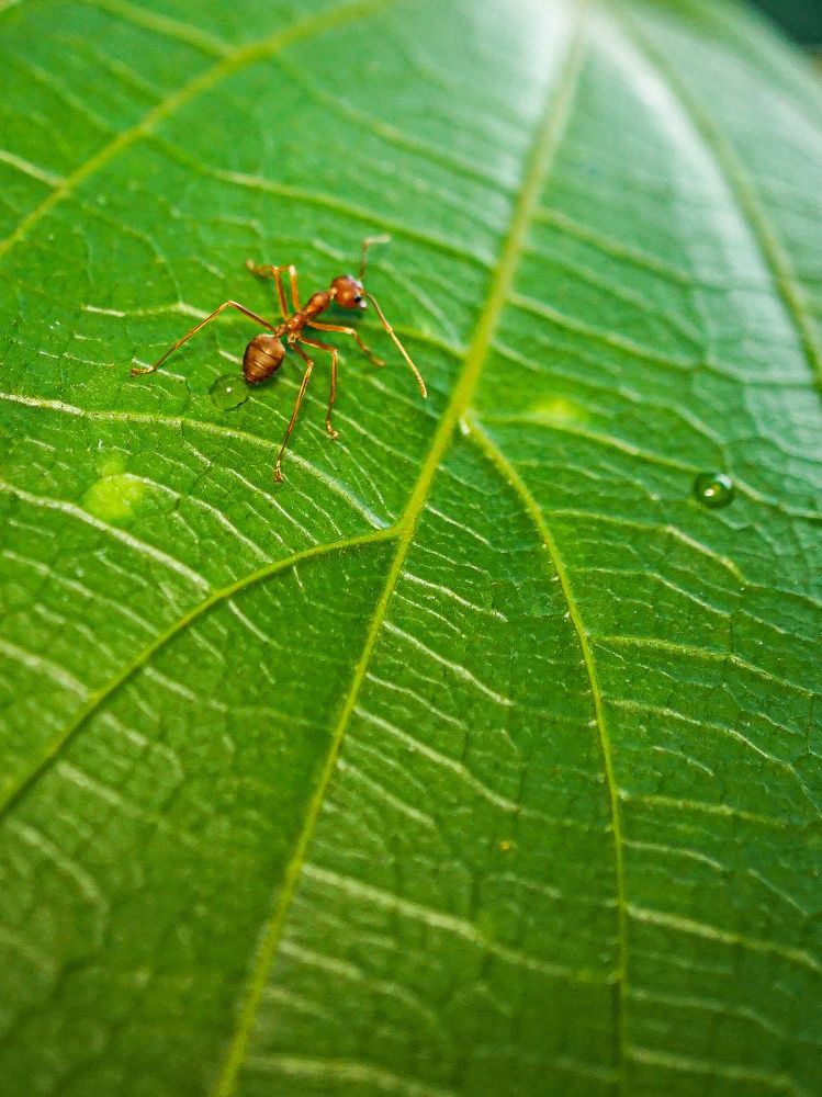 Photograph by Yustiawan