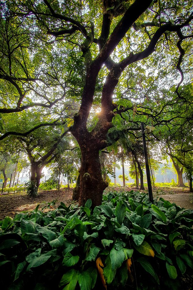 Photograph by Yustiawan