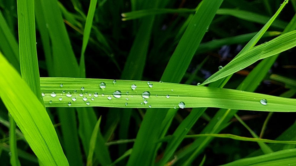 Photograph by Yustiawan