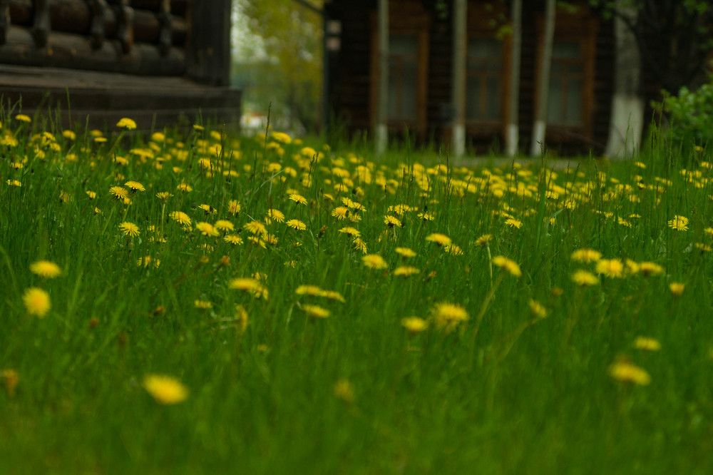 Photograph by Татьяна