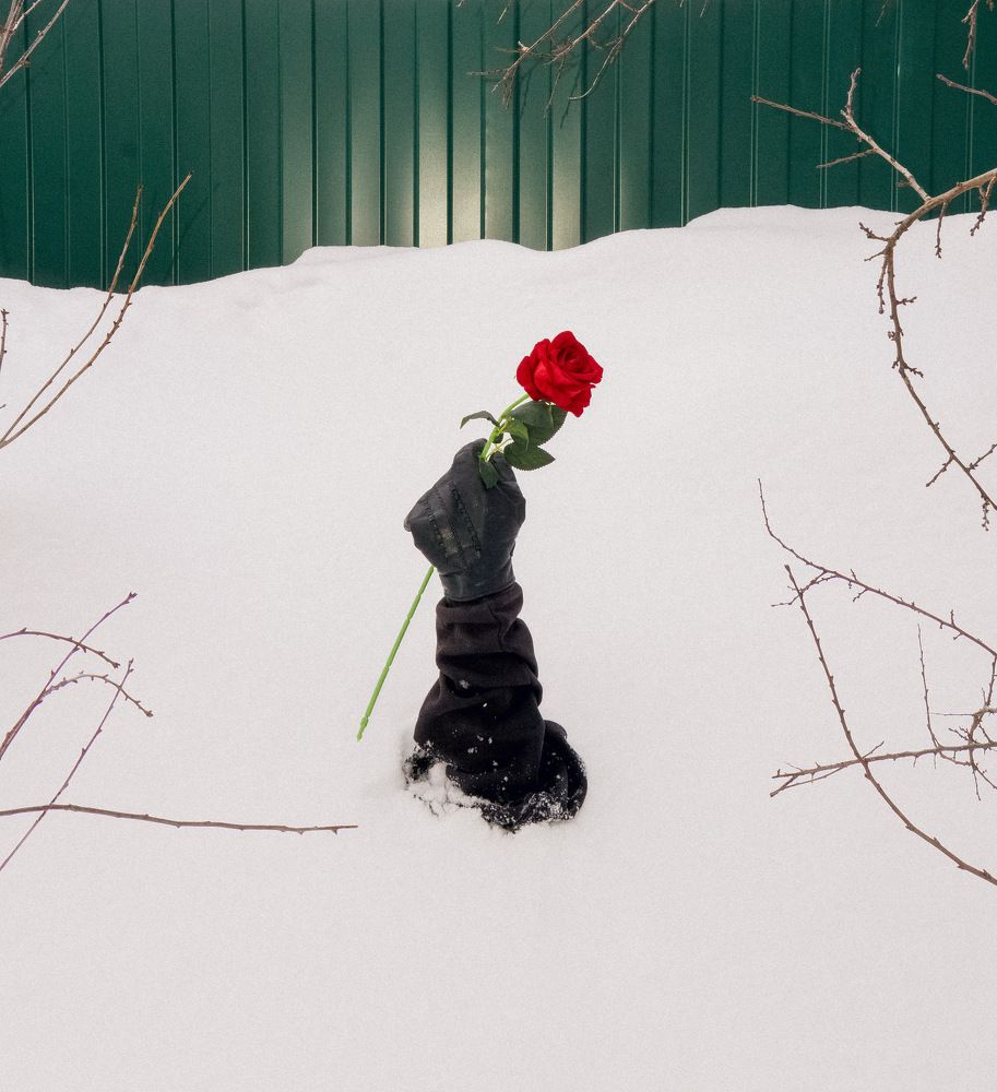 Photograph by Александр Соломатин