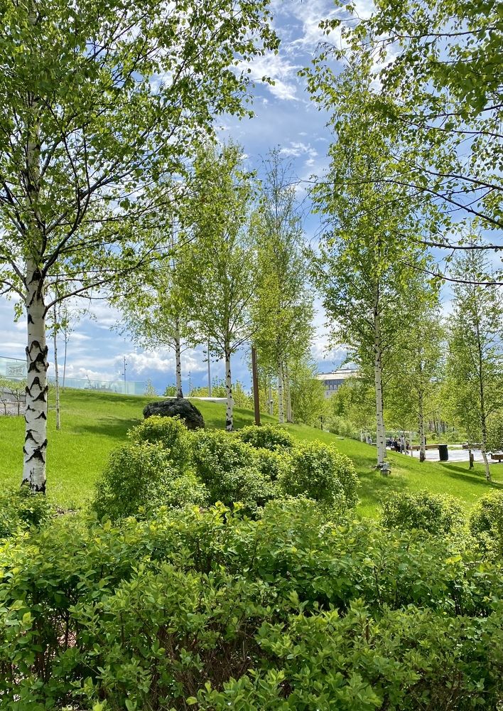 Photograph by Екатерина Антонова