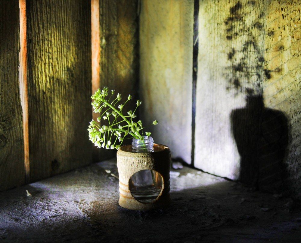 Photograph by Михаил Мехедов