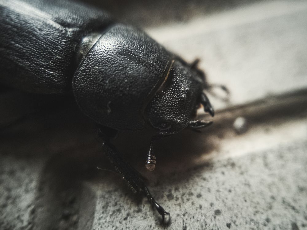 Photograph by Александр Безуглый