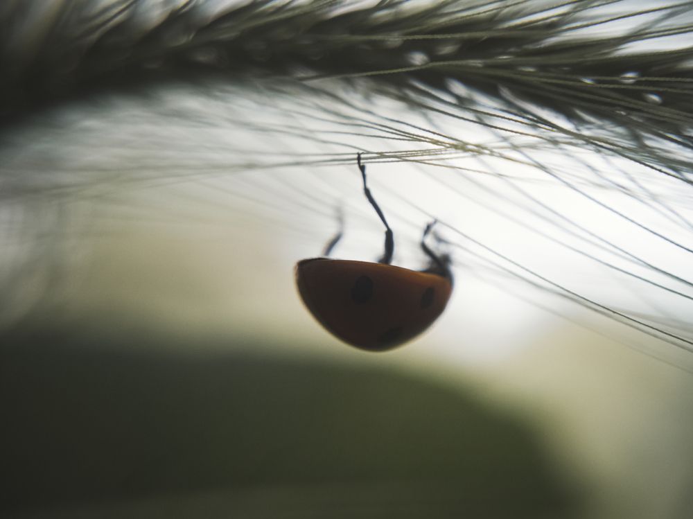 Photograph by Александр Безуглый