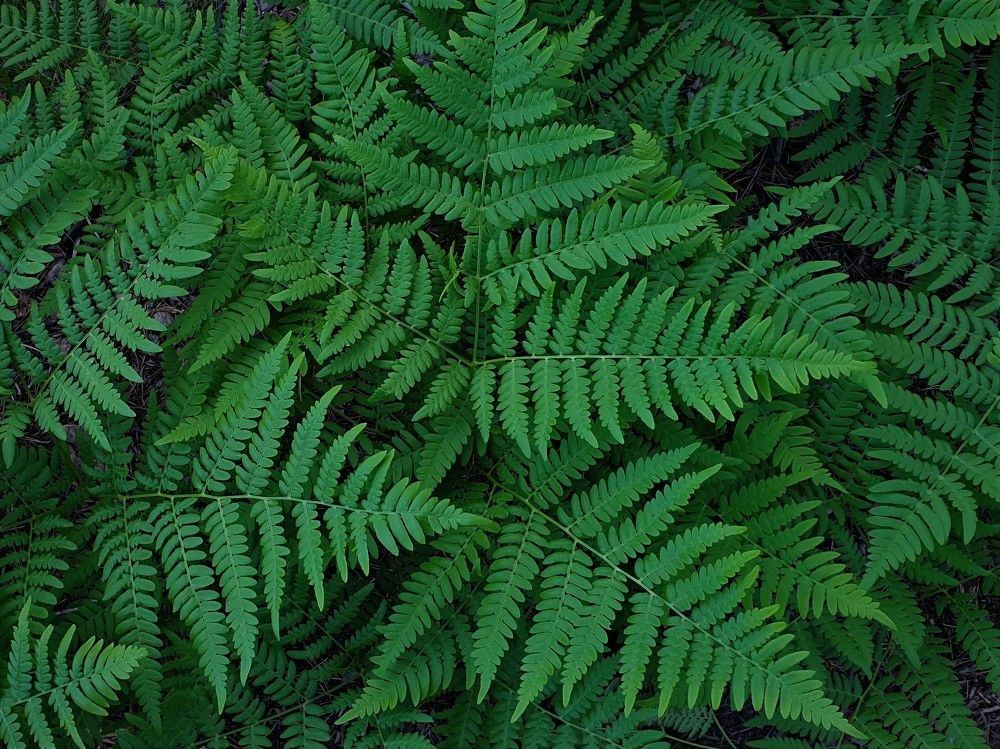 Photograph by Алёна Губинская