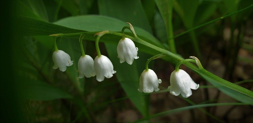Photograph by Алёна Губинская
