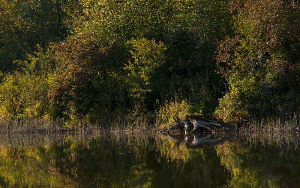 Photograph by Дубровин Николай