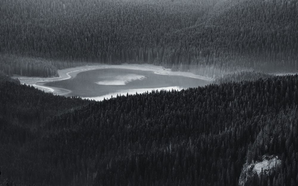 Photograph by Milos Andjusic