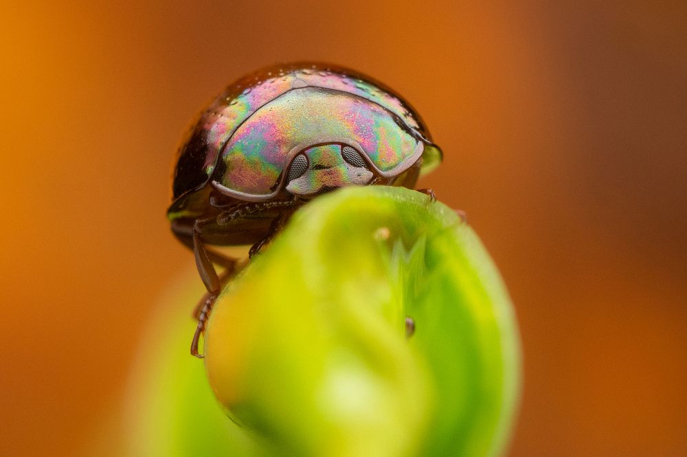 Photograph by Nicholas Ng