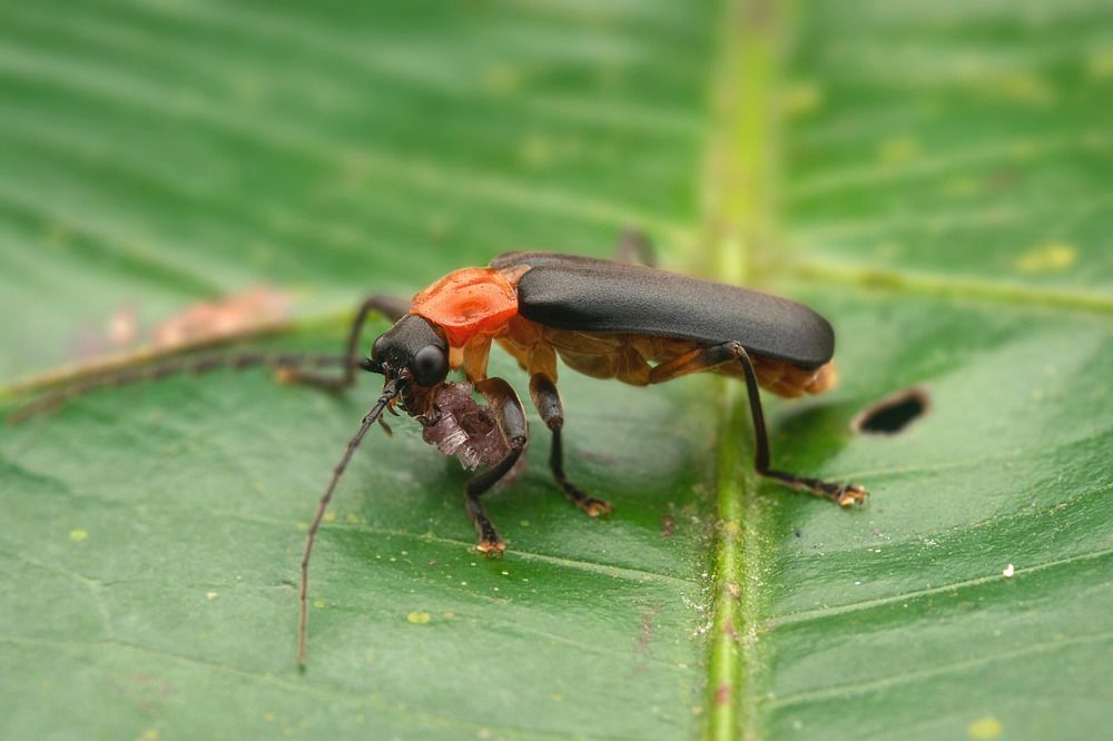 Photograph by Nicholas Ng