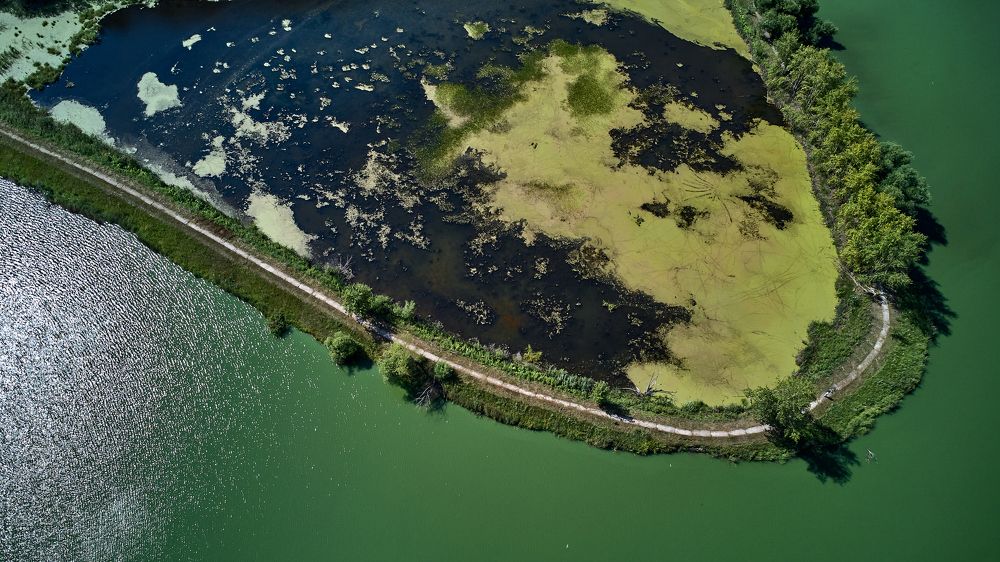 Фотография автора Игорь Игоревич