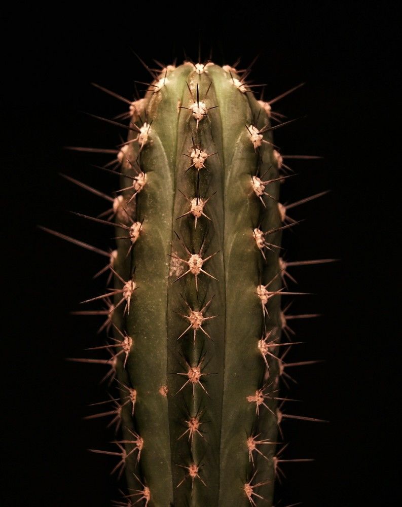 Photograph by Sergey Velichko