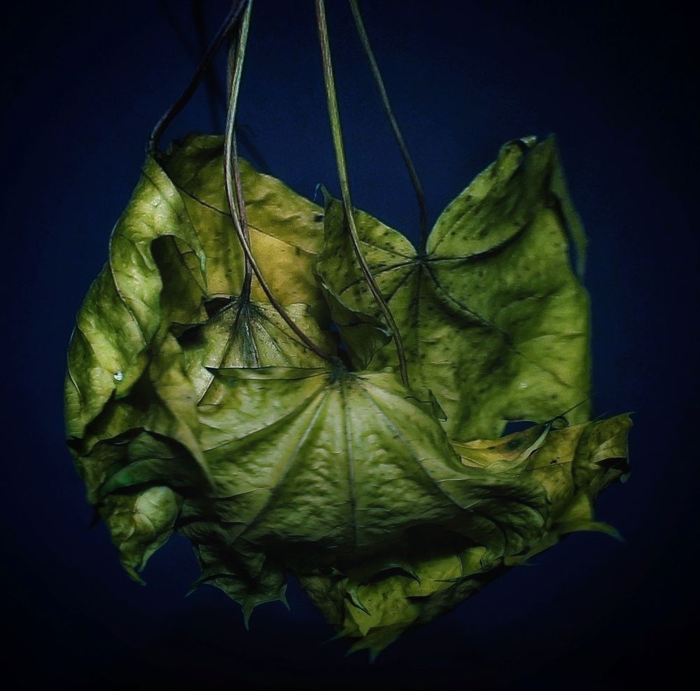 Photograph by Sergey Velichko