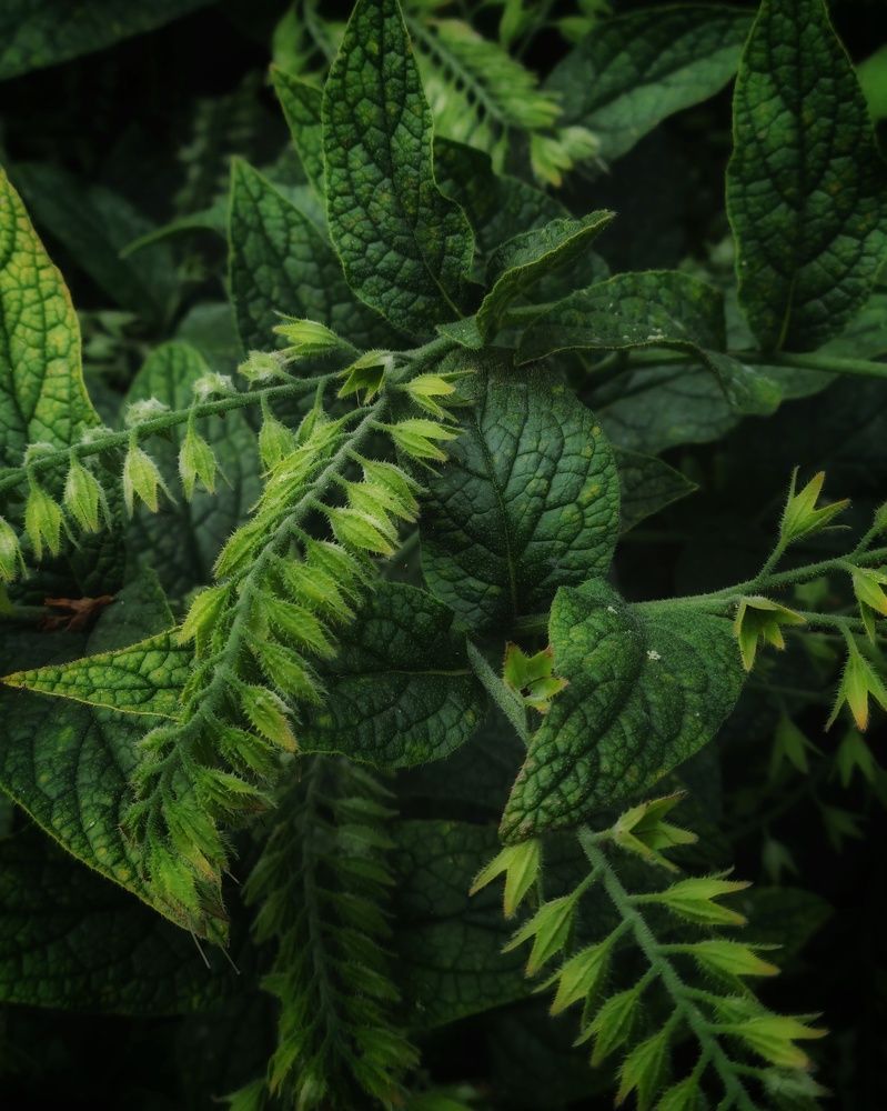 Photograph by Людмила Григорьева