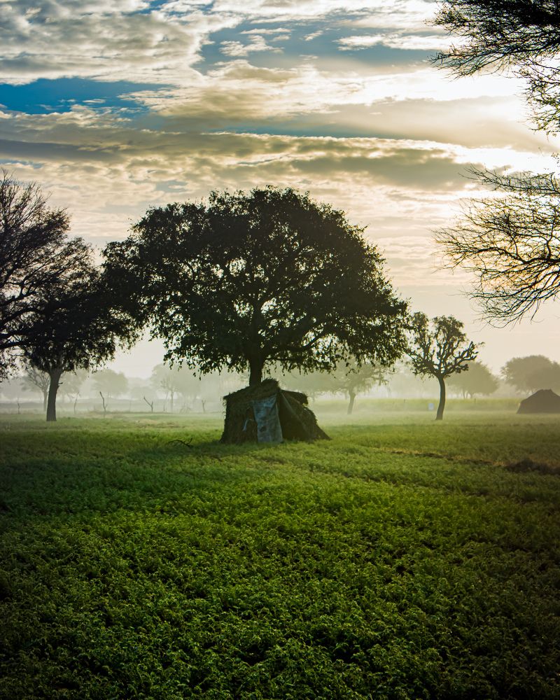 Photograph by Siddhant Jeph