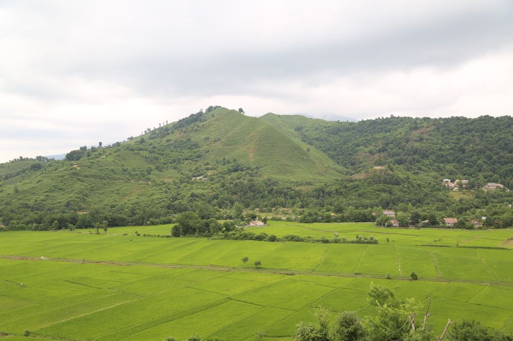 Photograph by Mohammadreza Majlesifar