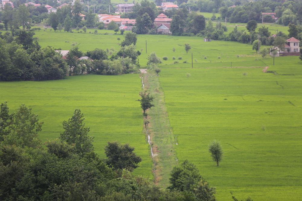 Photograph by Mohammadreza Majlesifar